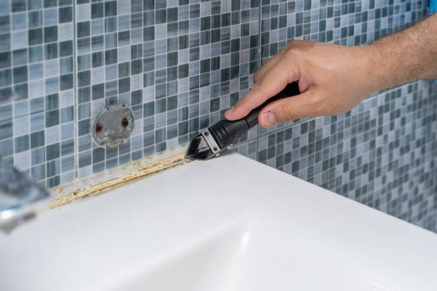 Best Affordable Mold Removal  in , RI